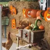 Emery's Blueberry Farm Corn Maze & Hayride photo