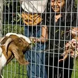 Hurd's Family Farm photo