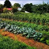 Hurd's Family Farm photo
