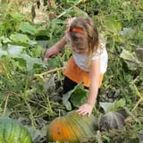 Gau-Sco Farm photo