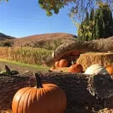Gau-Sco Farm photo