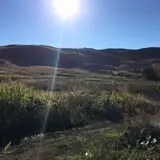 Gau-Sco Farm photo