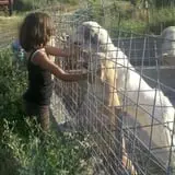 Gau-Sco Farm photo