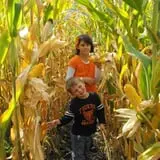 Gau-Sco Farm photo