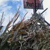 Gau-Sco Farm photo