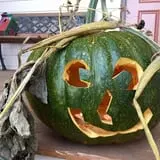 Gau-Sco Farm photo