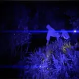 C Casola Farms Haunted Attractions photo