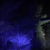 C Casola Farms Haunted Attractions photo