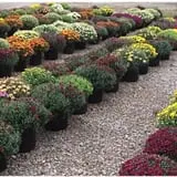 Kroul Farms photo