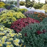 Kroul Farms photo