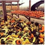 Kroul Farms photo