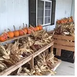 Kroul Farms photo