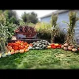 Kroul Farms photo