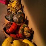 Kroul Farms photo