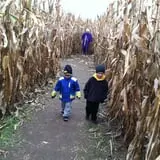 Kroul Farms photo