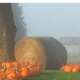 Kroul Farms photo