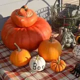 Kroul Farms photo