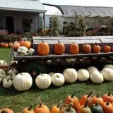 Kroul Farms photo