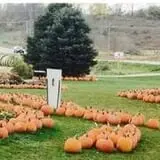 Kroul Farms photo