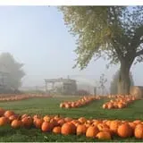 Kroul Farms photo