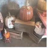 Kroul Farms photo