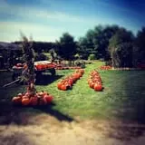 Kroul Farms photo