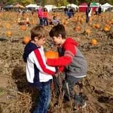 Denver Botanic Gardens Pumpkin Festival photo