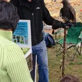 Denver Botanic Gardens Pumpkin Festival photo