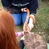 Denver Botanic Gardens Pumpkin Festival photo