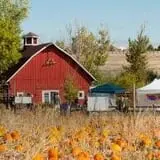 Denver Botanic Gardens Pumpkin Festival photo