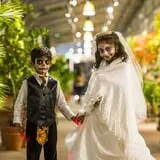 Denver Botanic Gardens Pumpkin Festival photo
