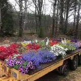 Riverside Farm Stand & Greenhouse photo