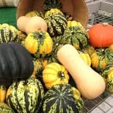 Riverside Farm Stand & Greenhouse photo
