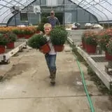Riverside Farm Stand & Greenhouse photo