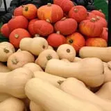 Riverside Farm Stand & Greenhouse photo