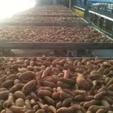 Riverside Farm Stand & Greenhouse photo