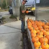 Riverside Farm Stand & Greenhouse photo