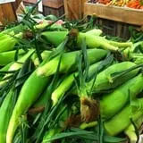 Riverside Farm Stand & Greenhouse photo