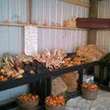 Haunted Hayride & Trail at Cedarburg Creek Farm photo