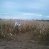 Haunted Hayride & Trail at Cedarburg Creek Farm photo