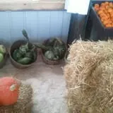 Haunted Hayride & Trail at Cedarburg Creek Farm photo