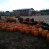 Haunted Hayride & Trail at Cedarburg Creek Farm photo