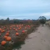 Haunted Hayride & Trail at Cedarburg Creek Farm photo