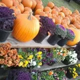 Haunted Hayride & Trail at Cedarburg Creek Farm photo