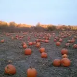 Haunted Hayride & Trail at Cedarburg Creek Farm photo