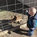 Haunted Hayride & Trail at Cedarburg Creek Farm photo