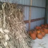 Haunted Hayride & Trail at Cedarburg Creek Farm photo