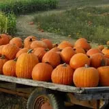 Haunted Hayride & Trail at Cedarburg Creek Farm photo
