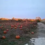Haunted Hayride & Trail at Cedarburg Creek Farm photo