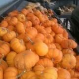 Haunted Hayride & Trail at Cedarburg Creek Farm photo